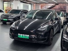 Tesla Model Y Standard Range RWD - ფოტო 1