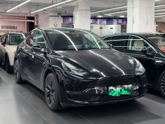 Tesla Model Y Standard Range RWD - ფოტო 3