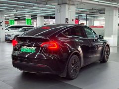 Tesla Model Y Standard Range RWD - ფოტო 8