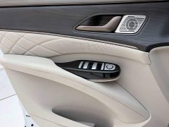 Denza BYD Denza D9 2022 DM-i 970 AWD Premium Edition - ფოტო 15