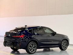 BMW X4 xDrive 25i M Sport Package - ფოტო 11