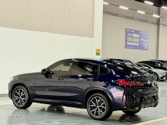 BMW X4 xDrive 25i M Sport Package - ფოტო 9