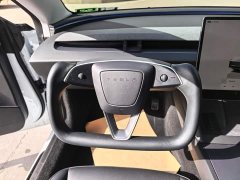 Tesla Model 3 Rear-Wheel Drive - ფოტო 8