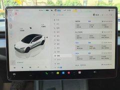 Tesla Model 3 Rear-Wheel Drive - ფოტო 9