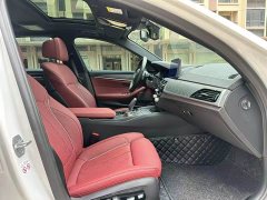 BMW 5 Series 530Li Luxury M Sport Package - ფოტო 8