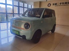 Geely Panda Mini 200km Endurance Edition - ფოტო 1