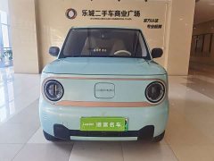 Geely Panda Mini 200km Endurance Edition - ფოტო 2