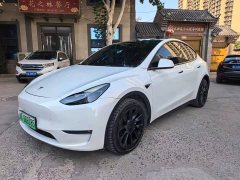 Tesla Model Y Long Range All-Wheel Drive - ფოტო 1