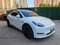 Tesla Model Y Long Range All-Wheel Drive - ფოტო 3