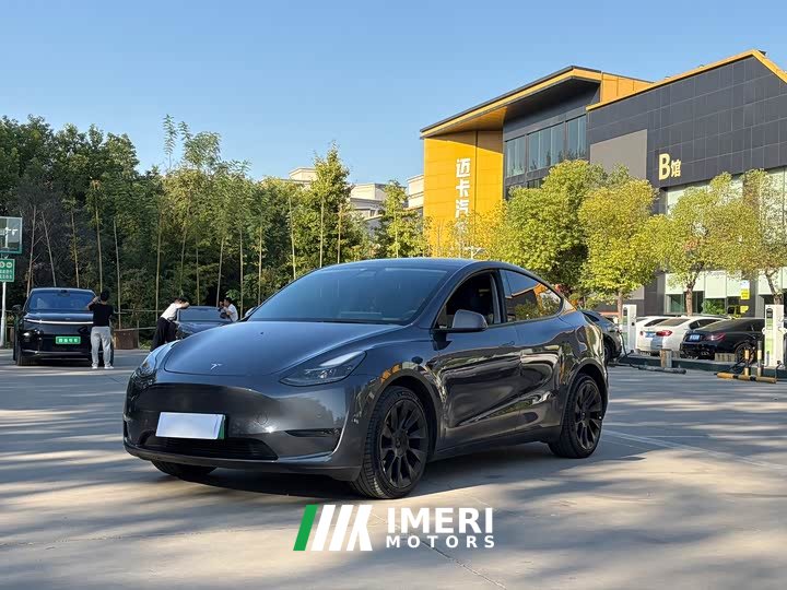 Tesla Model Y Long Range All-Wheel Drive - ავტომობილი ჩინეთიდან