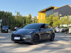Tesla Model Y Long Range All-Wheel Drive - ფოტო 1