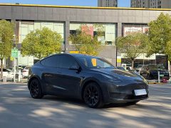 Tesla Model Y Long Range All-Wheel Drive - ფოტო 3