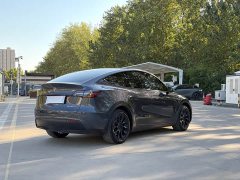 Tesla Model Y Long Range All-Wheel Drive - ფოტო 5