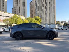 Tesla Model Y Long Range All-Wheel Drive - ფოტო 9