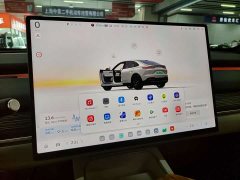 Nio Lerado L60 60kWh Rear-Wheel Drive - ფოტო 12