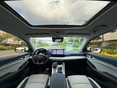 Geely Xingrui 2023 2.0T Diesel Premium - ფოტო 6