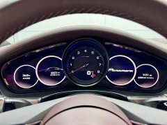 Porsche 2023 Panamera 2.9T Platinum Edition - ფოტო 10
