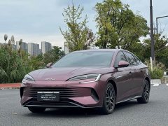 BYD Dolphin 2023 DM-i 1.5T 121km Premier - ფოტო 1