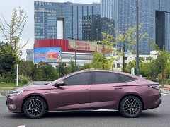 BYD Dolphin 2023 DM-i 1.5T 121km Premier - ფოტო 14