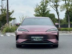 BYD Dolphin 2023 DM-i 1.5T 121km Premier - ფოტო 2