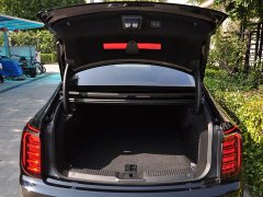 FAW Red Flag H9 2.0T Two-Wheel Drive Qi Chang Private Enjoyment Fashion Edition 5-Seater - ფოტო 6