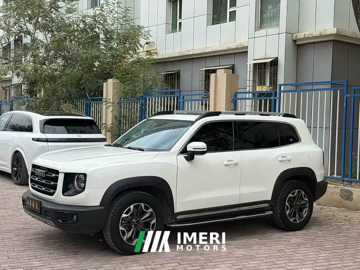 Great Wall Dachshund 2022 2.0T DCT Four-Wheel Drive Howling Celestial Dog Edition - ავტომობილი ჩინეთიდან