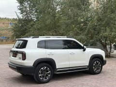 Great Wall Dachshund 2022 2.0T DCT Four-Wheel Drive Howling Celestial Dog Edition - ფოტო 7