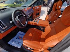 Li Auto L9 2022 Max - ფოტო 11