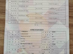 Li Auto L9 2022 Max - ფოტო 18