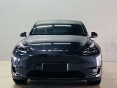 Tesla Model Y Rear-Wheel Drive - ფოტო 1