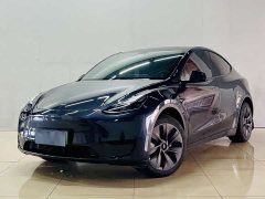 Tesla Model Y Rear-Wheel Drive - ფოტო 2