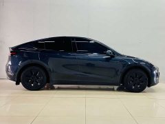 Tesla Model Y Rear-Wheel Drive - ფოტო 4