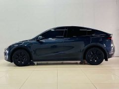 Tesla Model Y Rear-Wheel Drive - ფოტო 5