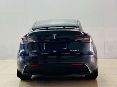 Tesla Model Y Rear-Wheel Drive - ფოტო 7