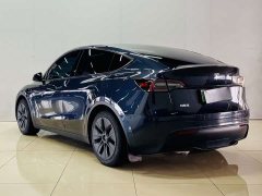 Tesla Model Y Rear-Wheel Drive - ფოტო 8