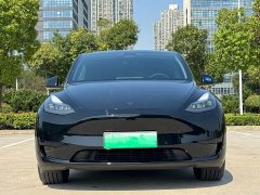 Tesla Model Y Rear-Wheel Drive - ფოტო 1