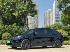 Tesla Model Y Rear-Wheel Drive - ფოტო 13
