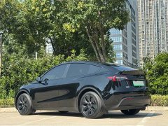 Tesla Model Y Rear-Wheel Drive - ფოტო 14
