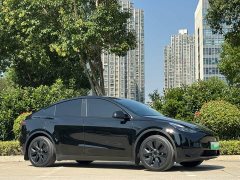 Tesla Model Y Rear-Wheel Drive - ფოტო 16