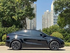 Tesla Model Y Rear-Wheel Drive - ფოტო 19