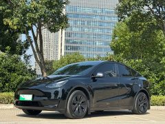 Tesla Model Y Rear-Wheel Drive - ფოტო 2