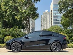 Tesla Model Y Rear-Wheel Drive - ფოტო 3
