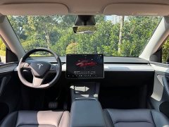 Tesla Model Y Rear-Wheel Drive - ფოტო 8