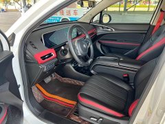 ORA Good Cat GT 2023 Mulan Edition 401km Luxury - ფოტო 15
