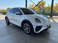 ORA Good Cat GT 2023 Mulan Edition 401km Luxury - ფოტო 3