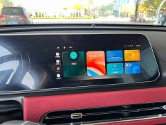 ORA Good Cat GT 2023 Mulan Edition 401km Luxury - ფოტო 8