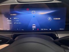 Buick GL8 New Energy Lusang Respect Edition - ფოტო 9