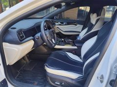 BYD Qin Plus 2021 DM-i 55KM Flagship - ფოტო 6