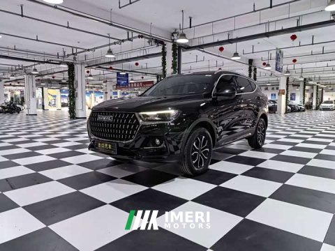 2024 Haval H6 2023 National Trend Edition 1.5T Automatic Urban Version - ავტომობილი ჩინეთიდან