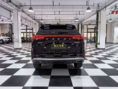 Haval H6 2023 National Trend Edition 1.5T Automatic Urban Version - ფოტო 5